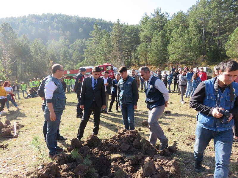 11 Milyon Fidan